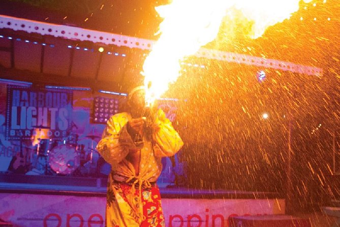 Harbour Lights Beach Extravaganza and Dinner Show - Accessibility Features