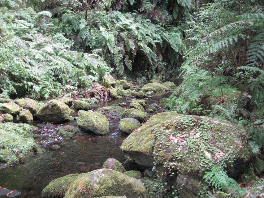 Hidden Corners, the Kings Levada Full Day Hike - Frequently Asked Questions