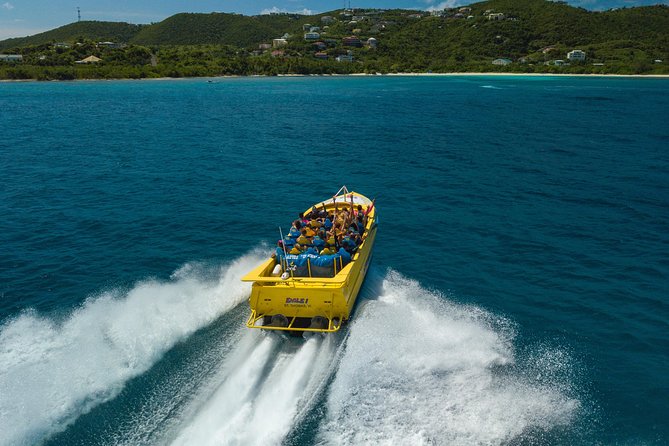 High Speed Harbor Tour From Charlotte Amalie Cruise Port - Meeting Point and Pickup