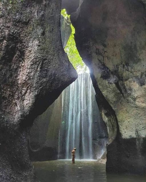 Highlight Ubud Waterfalls and Tegalalang Rice Terrace - Tegalalang Rice Terrace Exploration