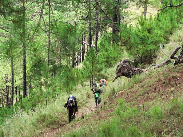 Hiking Day Tour to Triund From Dharamshala - Meeting Point and Pickup