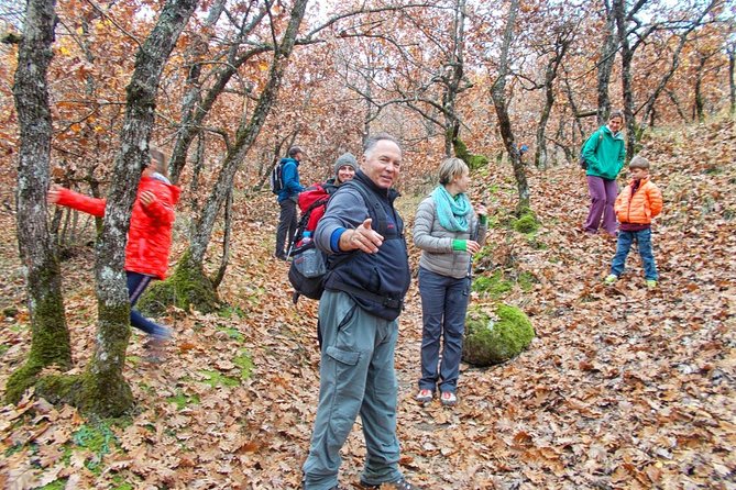 Hiking Tour to Meteora From Kalambaka - Local Agency - Weather and Group Size