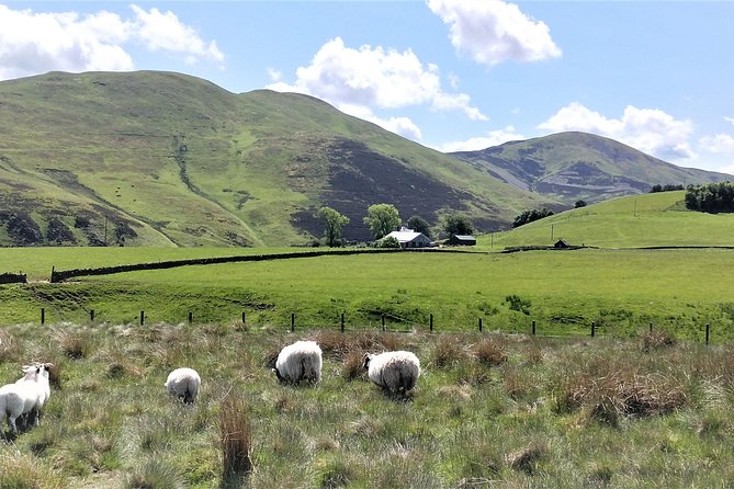 Hill & Nature Hike - Discover Real Edinburgh With a Local Expert - Tour Group Size