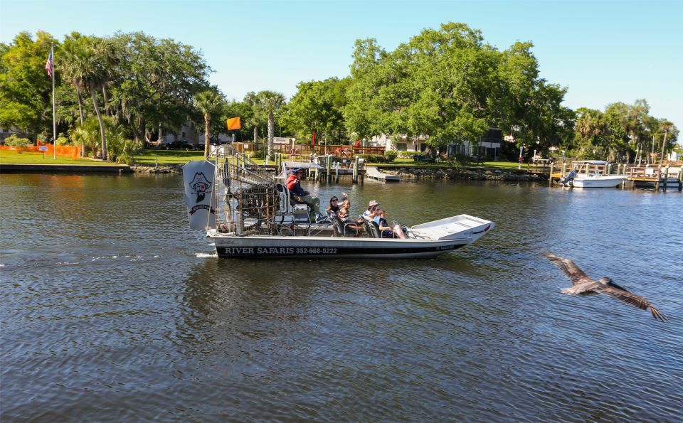 Homosassa: Gulf of Mexico Airboat Ride and Dolphin Watching - Spotting Wildlife