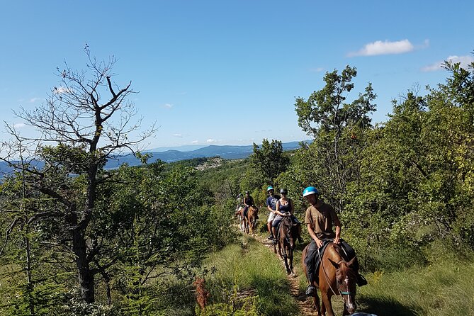 Horse Ride in Haute Provence Luberon and Forcalquier - Tour Operator Information