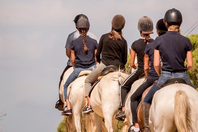 Horse Riding on the Beach - Picturesque Beach Scenery