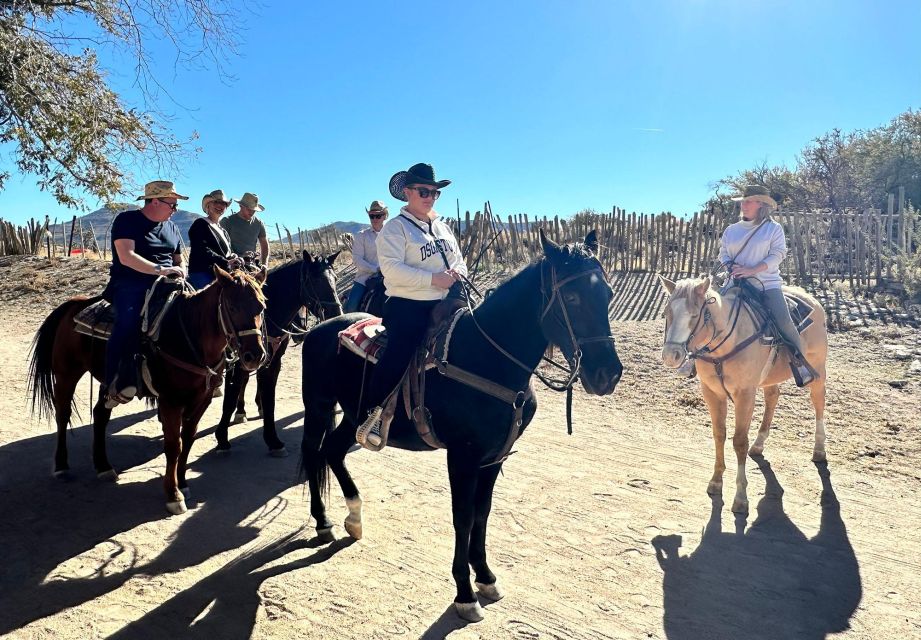 Horseback Ride Thru Joshua Tree Forest With Buffalo & Lunch