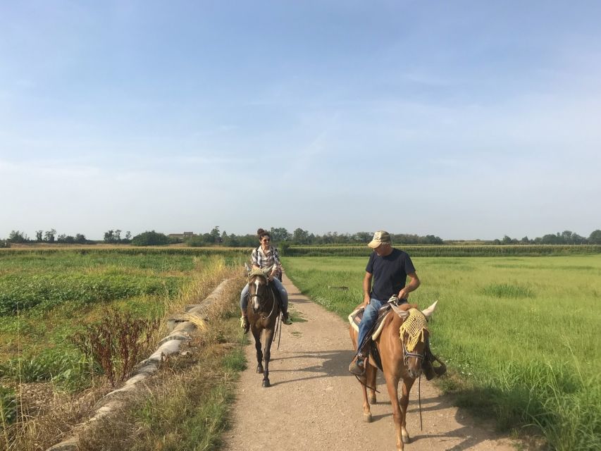 Horseback Riding and Wine Tasting in the Land of Custoza - Highlights of the Tour