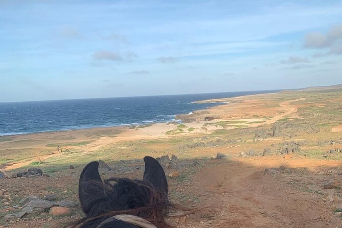 Horseback Riding Wariruri Beach Tour in Aruba - Safety Guidelines