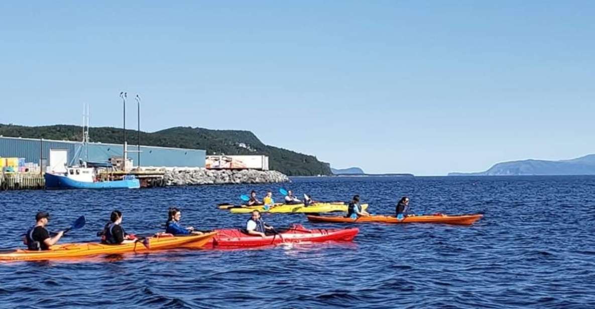 Humber Arm South: Bay of Islands Guided Kayaking Tour - Tour Safety and Suitability