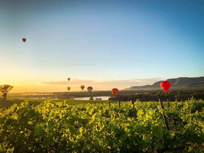 Hunter Valley: Sunrise Balloon Ride With Bubbly Breakfast - Recap