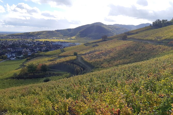 ICONICS Tour: 1/2 Day on the Wine Route, Visit of 2 Villages + Tasting. - Cancellation Policy