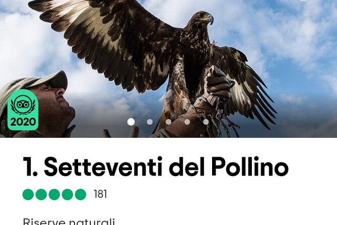 Interactive Path of Birds of Prey - Guided Tour Highlights