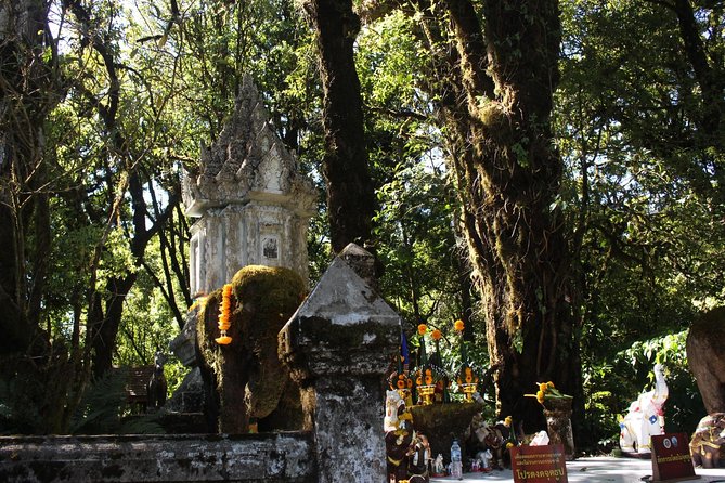 Inthanon Day Trip From Chiang Mai With Lunch - Group or Private - Exploring Ang Ka Nature Trail