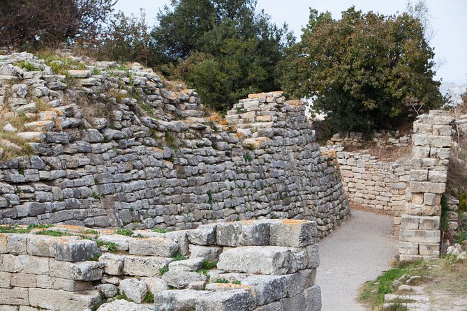 Istanbul to Truva Troy Guided Day Tour With Lunch and Transfers - Guided Exploration