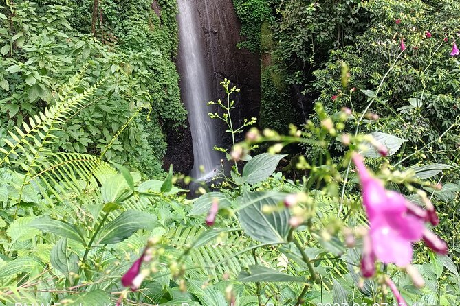 Jakarta Bogor Botanical Garden, Waterfall and Rice Terrace, Lunch - Accessibility and Recommendations