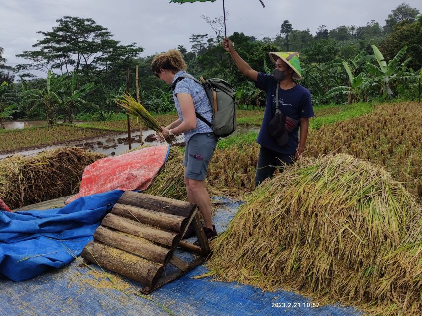 Jakarta : Botanical Garden, Waterfalls, and Rice Fields Tour - Included Amenities