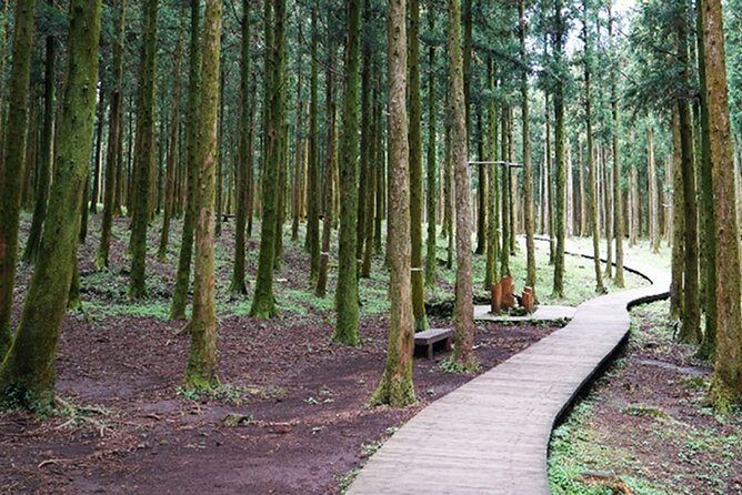 Jeju Island East UNESCO Day Tour With Lunch Included - Discover Seongeup Folk Village
