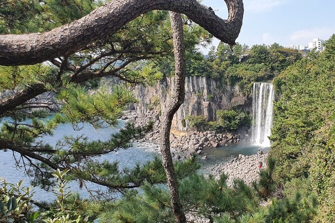 Jeju Island Taxi Join Tour - Cancellation Policy
