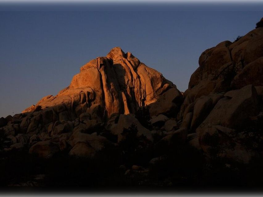 Joshua Tree: Half-Day Private Hike of the National Park - Daypack and Water Provided