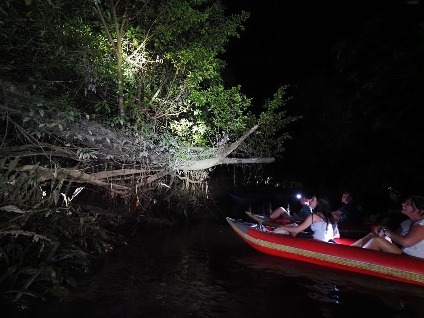 Jungle Night Tour : Finding Snakes and Night Species - Canoe Trip