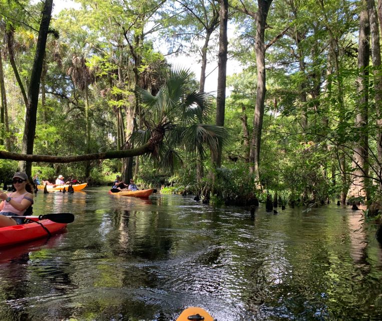 Jupiter: Loxahatchee River Scenic Kayak Tour - Frequently Asked Questions