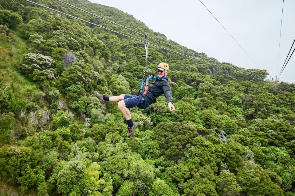 Kaikoura: Zipline and Native Forest Adventure Trip - Customer Reviews