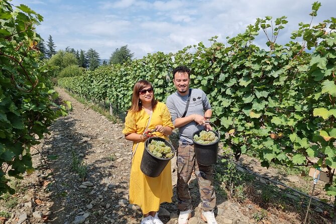 Kakheti - Small Wineries and Family-Cooked Lunch - Inclusive Tour Features