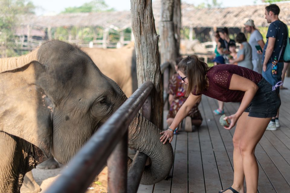 Kanchanaburi: Elephant Sanctuary & Erawan Waterfall Tour - Trekking Through Erawan National Park