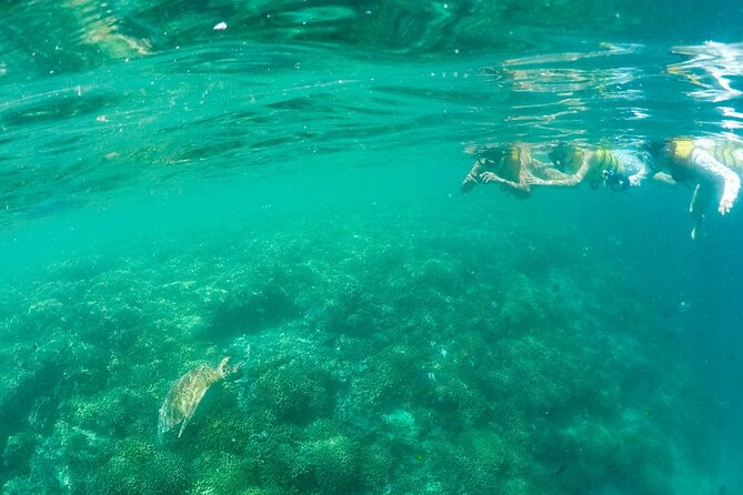 Kaneohe Sandbar Snorkeling Tour, 2nd Tour - Recap