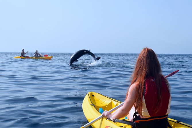 Kayaking With Dolphins and Turtles and Snorkelling in Tenerife - Tour Experience and Reviews