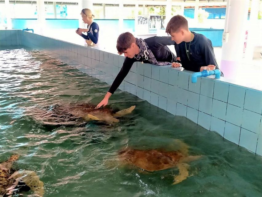 Khaolak: Elephant Sanctuary With Turtle Conservation Center - Police Boat T813 Memorial