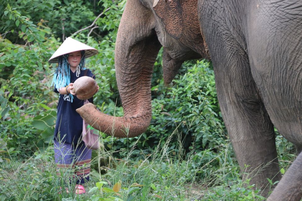 Koh Samui: Ethical Elephant Home Guided Tour With Transfers - Vegetarian Meal and Fruits