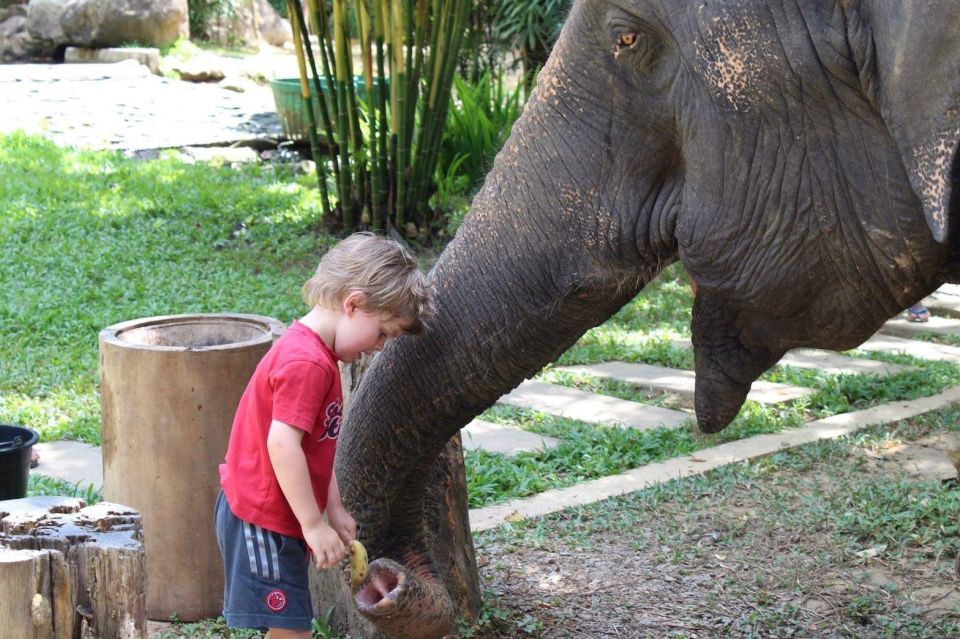 Krabi: Ethical Elephant Sanctuary Experience - Watching the Elephants Bathe in the Rock Pool