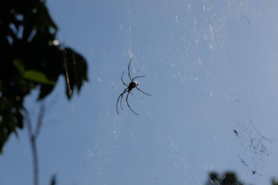 Krabi Outback Explorer to Emerald Pool & Wareerak Hotspring - Relaxation at Wareerak Hot Spring