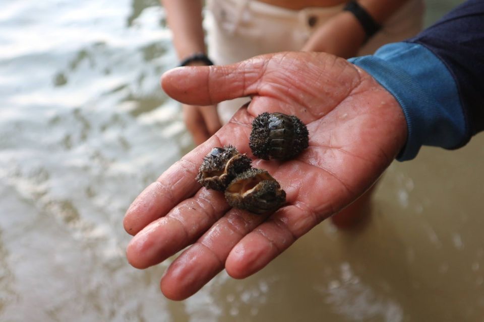 Krabi: Sea Cave Kayaking Tour With Lae Nai Lagoon and Lunch - Thai-Style Lunch at Makham Beach