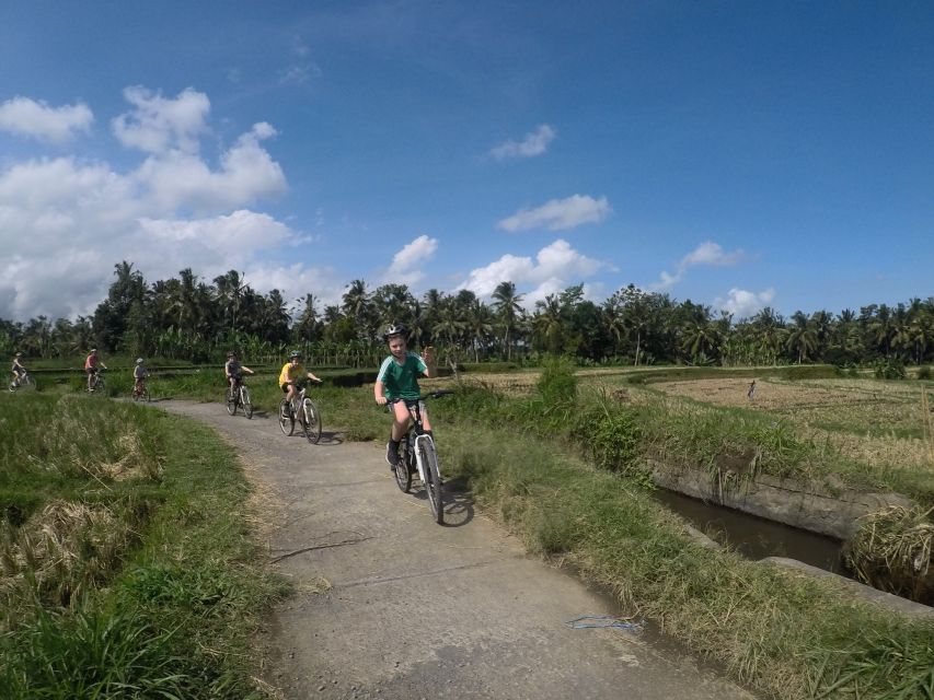 Kuta: Kintamani Culture and Nature Guided Cycling Tour - Booking Information