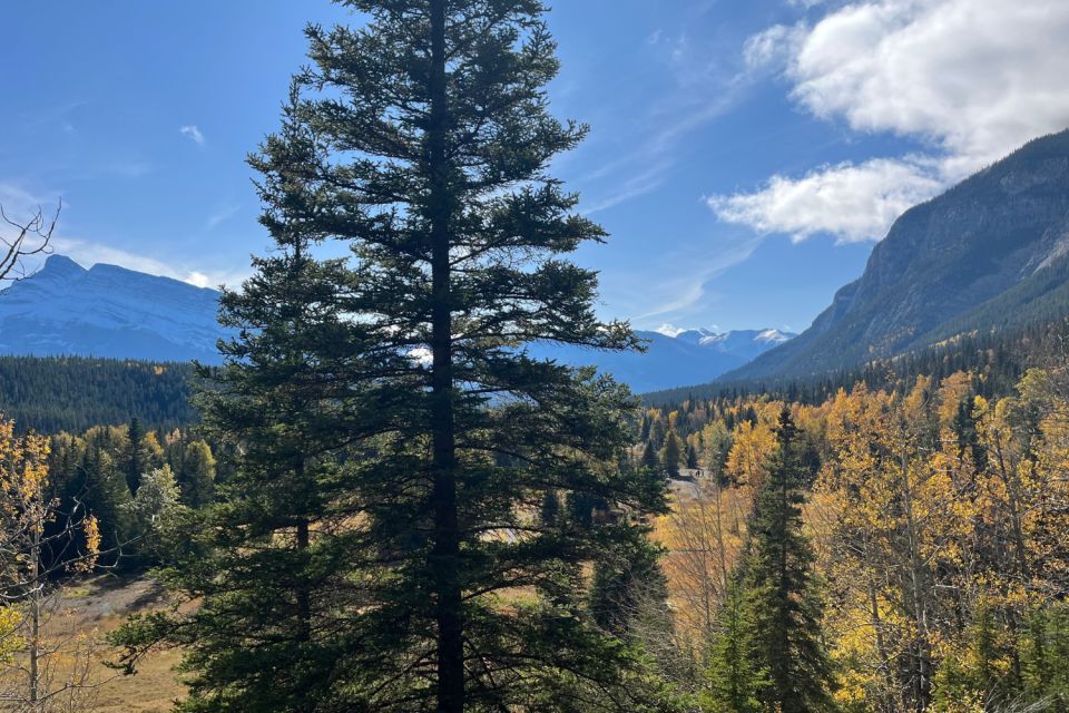 Lake Louise and Moraine: Self-Guided Driving Audio Tour - Lake Louise Ski Resort & Summer Gondola