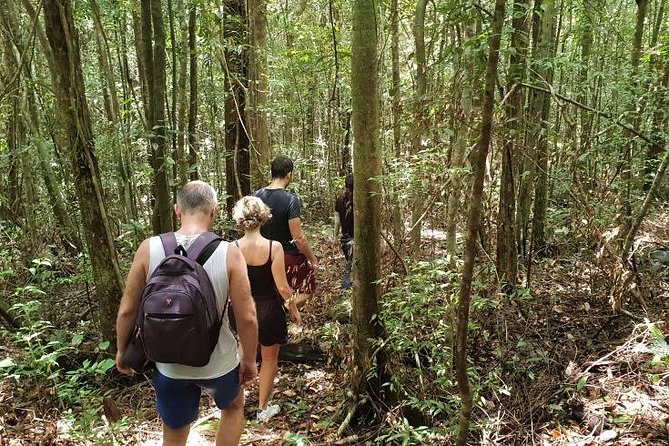 Land Tour 2: Discover the North - Kayaking & Starfish Beach Phu Quoc (Not Lunch) - Highlights and Attractions