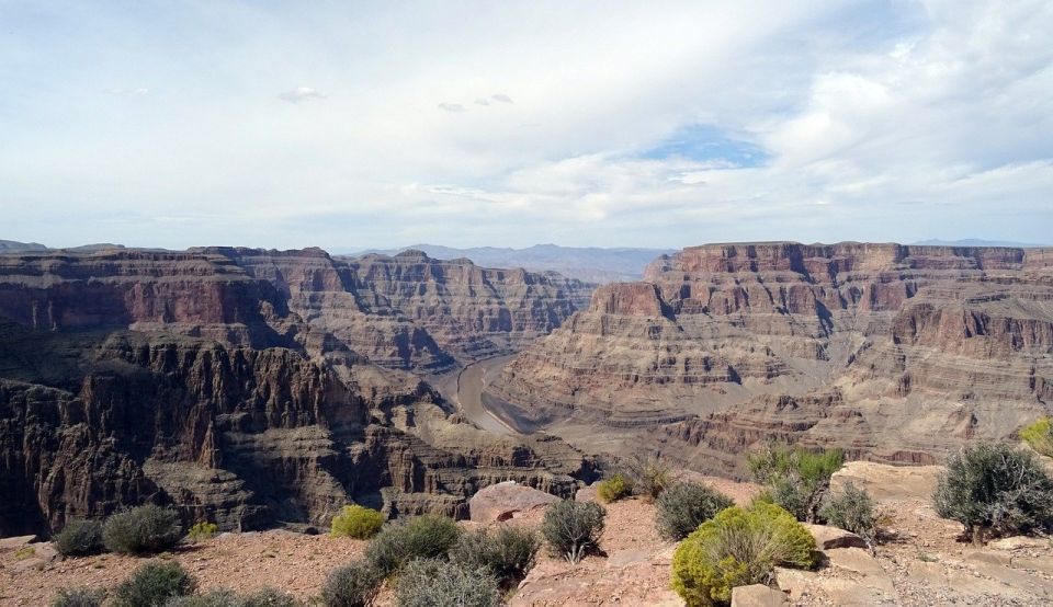 Las Vegas: Grand Canyon West Bus Tour With Guided Walk - Joshua Tree Forest