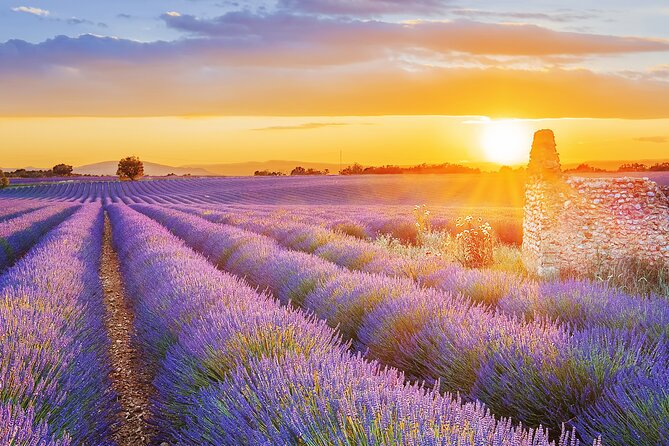 Lavender Route - Small-Group Day Trip From Avignon - Hilltop Villages