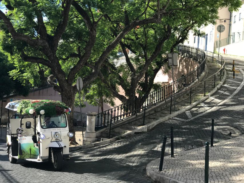 Lisbon: All City Standard Private Guided Tour by Tuk-Tuk - Booking and Cancellation Policy