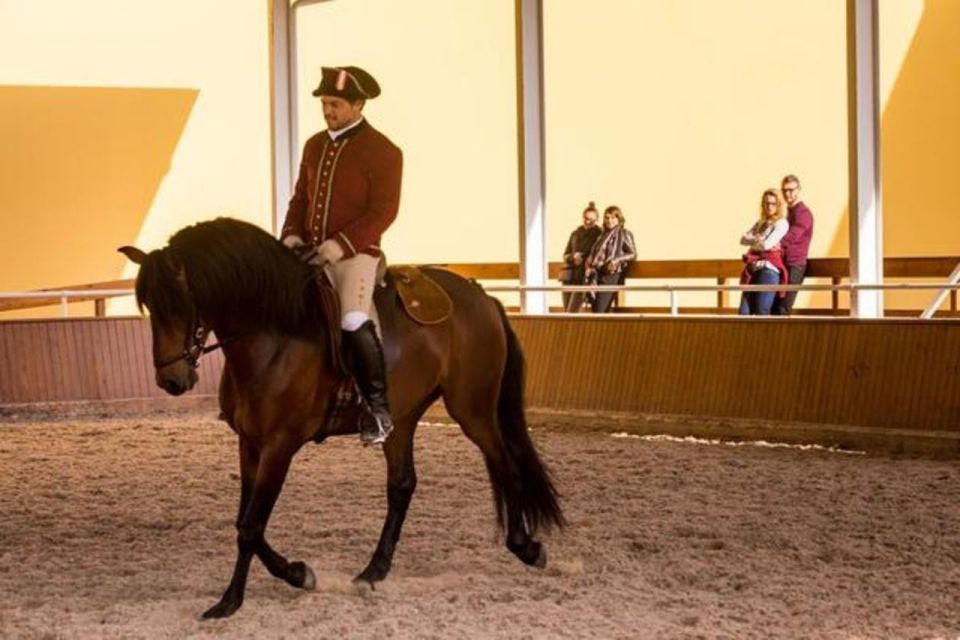 Lisbon: Portuguese Riding School Trainig With Lusitano Horse - Customer Ratings and Reviews