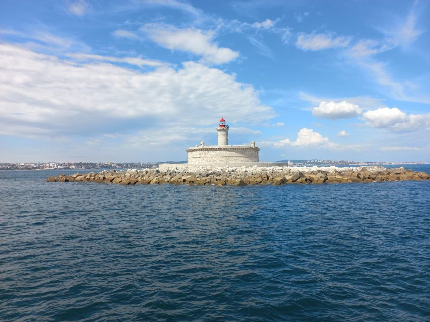 Lisbon: Tagus River Cruise to the Ocean & Dolphin Watching - Playful Dolphins Sighting