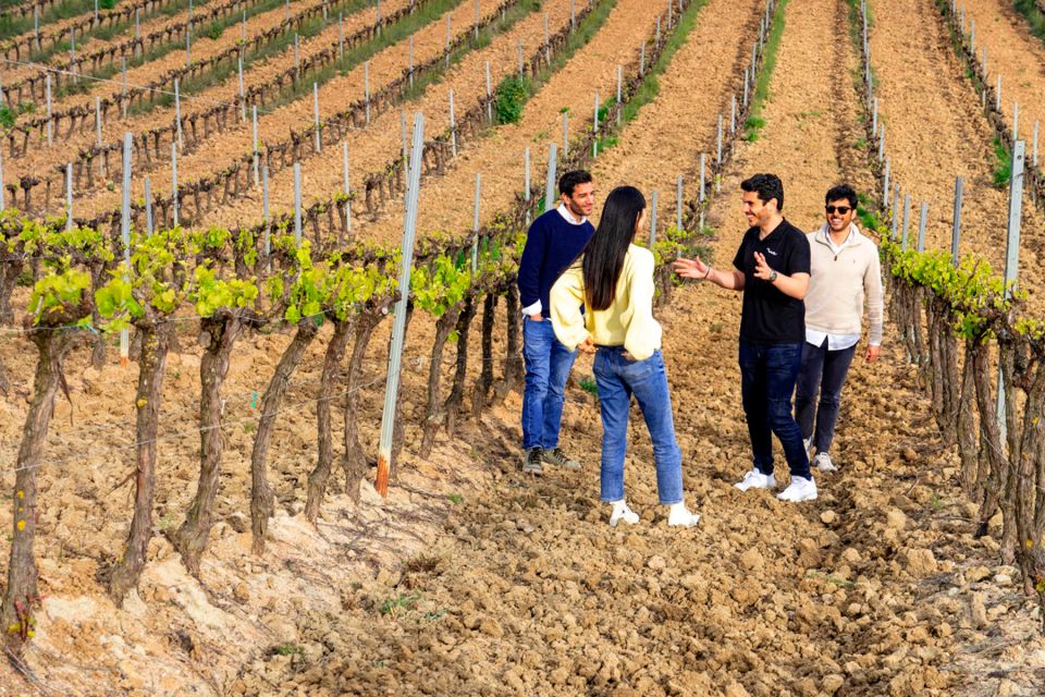 Lisbon: Winery Experience With 4WD Tour and Wine Tasting - Wine Tasting and Appetizers