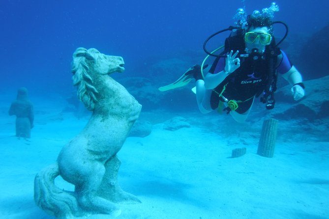 Local Guided Dives (For Certified/Licensed Divers) - Dive Depth and Visibility