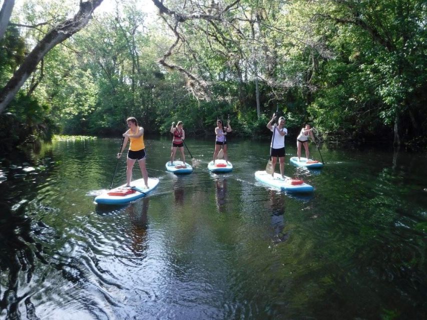 Longwood: Guided Wekiva River Paddleboarding Tour - What to Bring