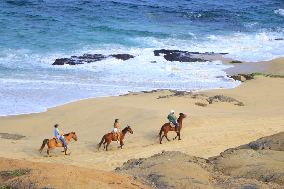 Los Cabos: Horseback Ride on Pacific Beach and Desert - Frequently Asked Questions