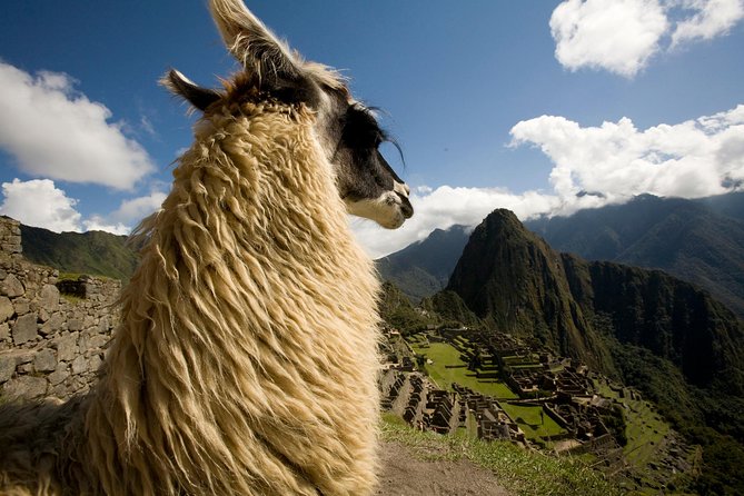 Machu Picchu Private Guided Tour From Aguas Calientes - Booking Details