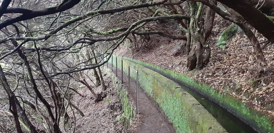 Madeira: 25 Fontes and Risco Levada Hike With Transfers - Customer Ratings